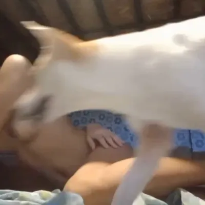 Inistorbo ni Doggie si Mommy and Daddy